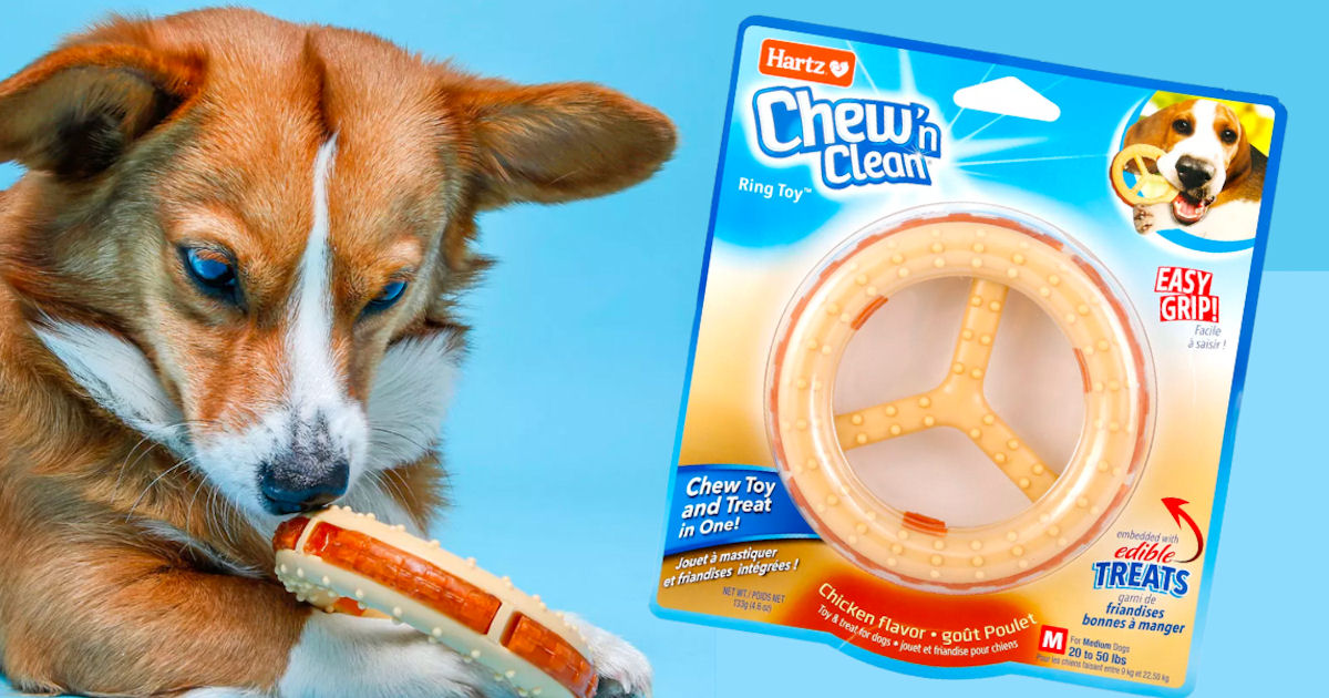 Hartz Chew 'n Clean Ring Dog Toy