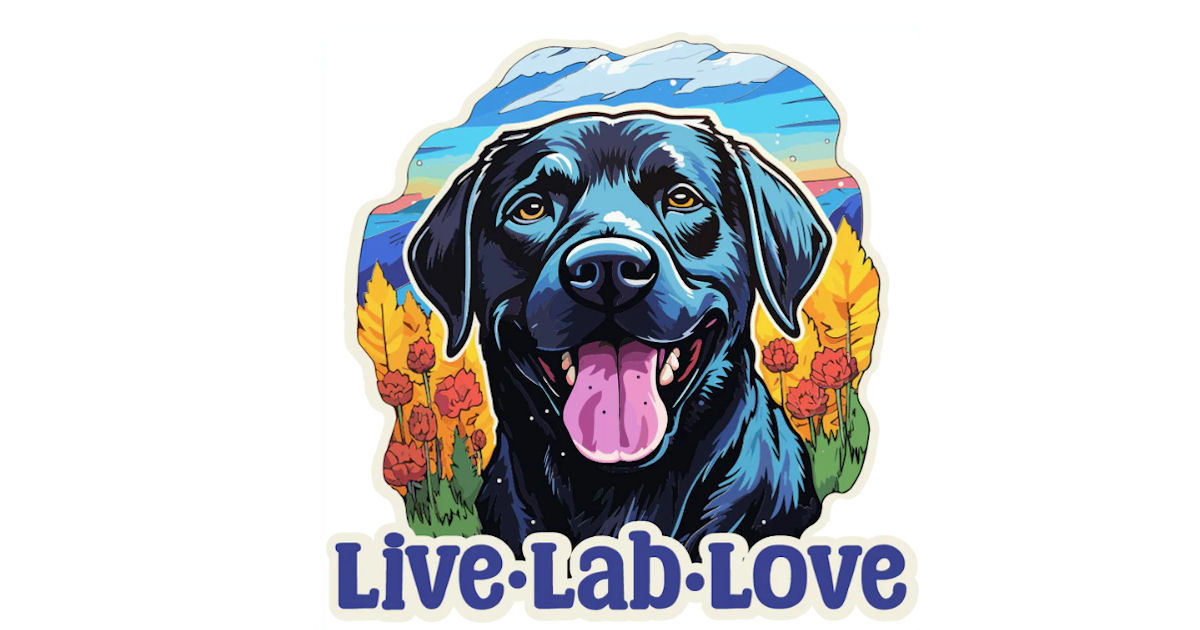 Hello Lab Lovers