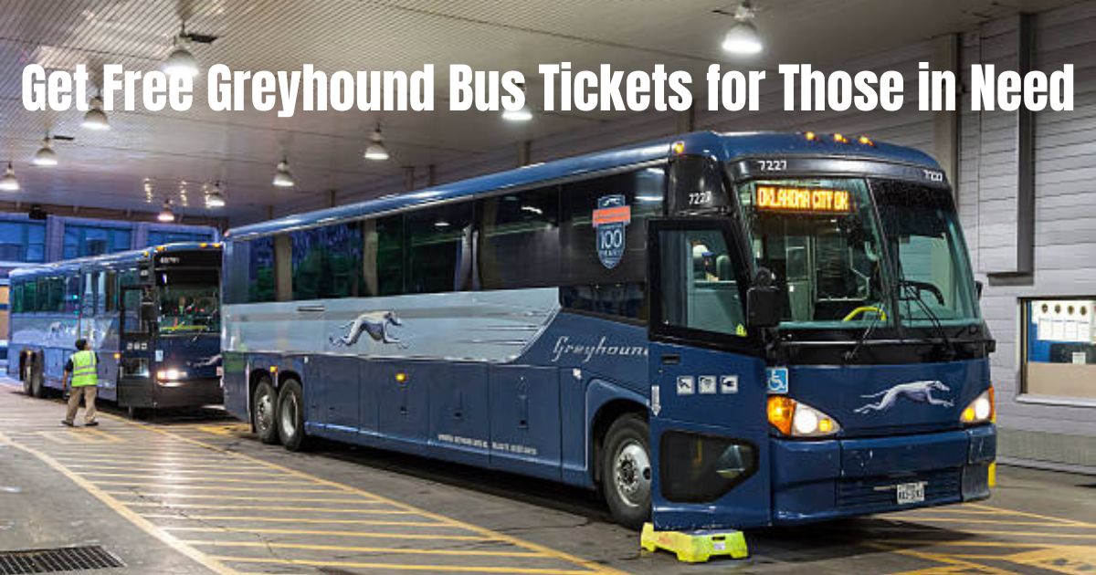 free greyhound bus tickets for homeless