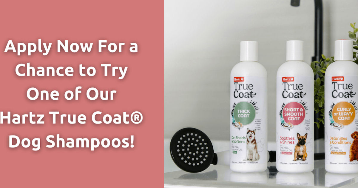 Hartz True Coat Dog Shampoo